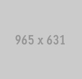 965x631